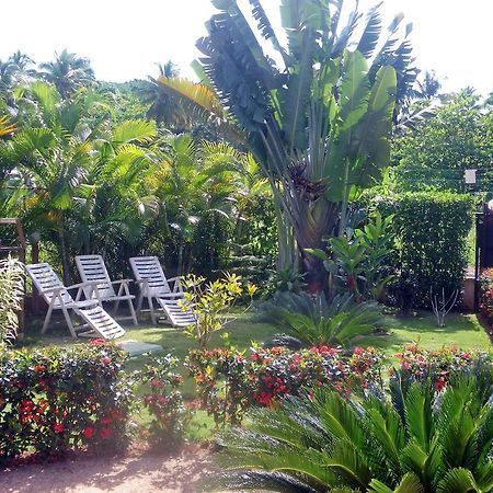 Aparthotel Casa Lily & Coco à Las Terrenas Extérieur photo