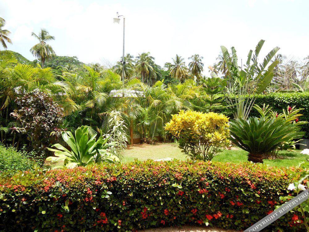 Aparthotel Casa Lily & Coco à Las Terrenas Extérieur photo
