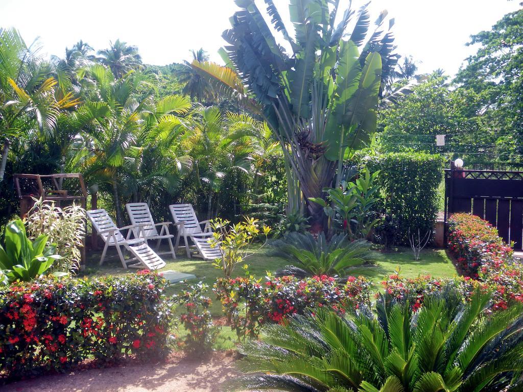 Aparthotel Casa Lily & Coco à Las Terrenas Extérieur photo